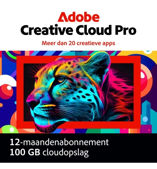 Adobe Creative Cloud Pro (alle apps) | Abonnement | 1 Jaar | 100 GB Cloud